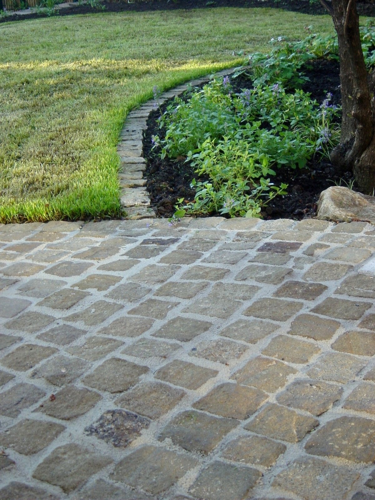 Garden path with WST paving joint mortar sand
